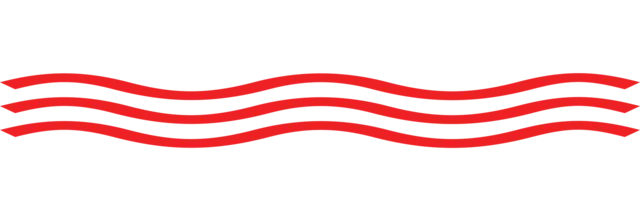 squiggly line 1